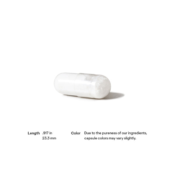 Acetyl-L-Carnitine